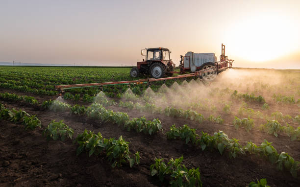 Best Commercial Pest Control Services  in Lake Elmo, MN