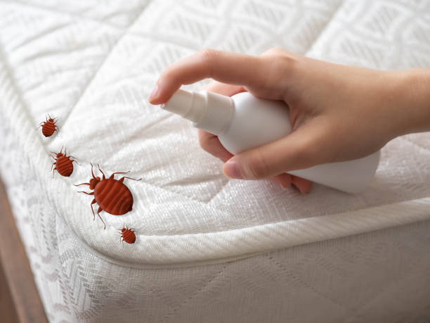 Best Flea Control Services  in Lake Elmo, MN