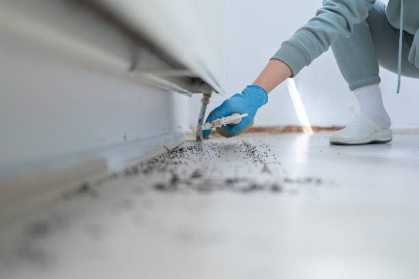 Best Wasp Removal Services  in Lake Elmo, MN