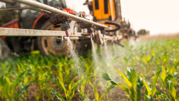 Best Pest Prevention Services  in Lake Elmo, MN